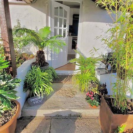 Idyllic Cornish Cottage, Superking Bed, Private Garden Dogs Welcome Truro Extérieur photo