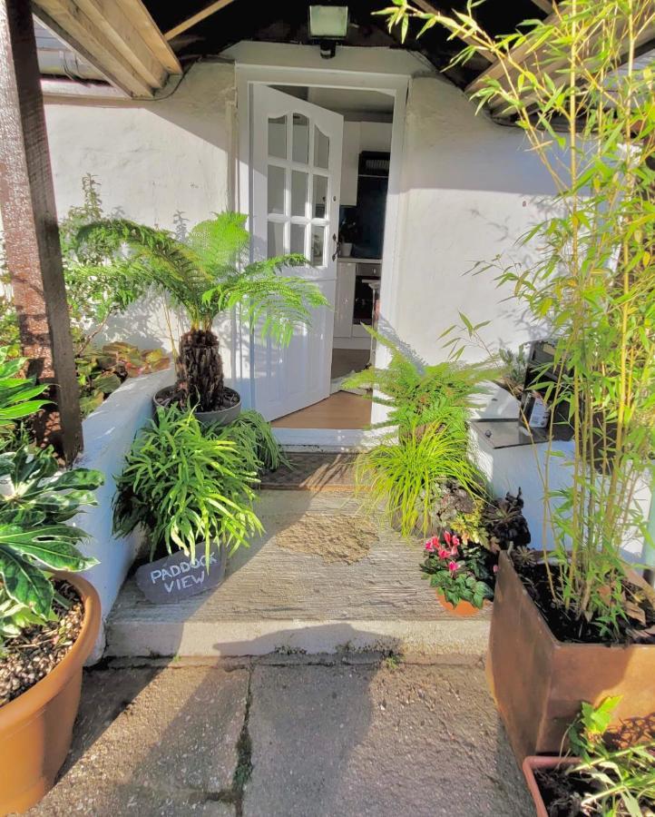 Idyllic Cornish Cottage, Superking Bed, Private Garden Dogs Welcome Truro Extérieur photo