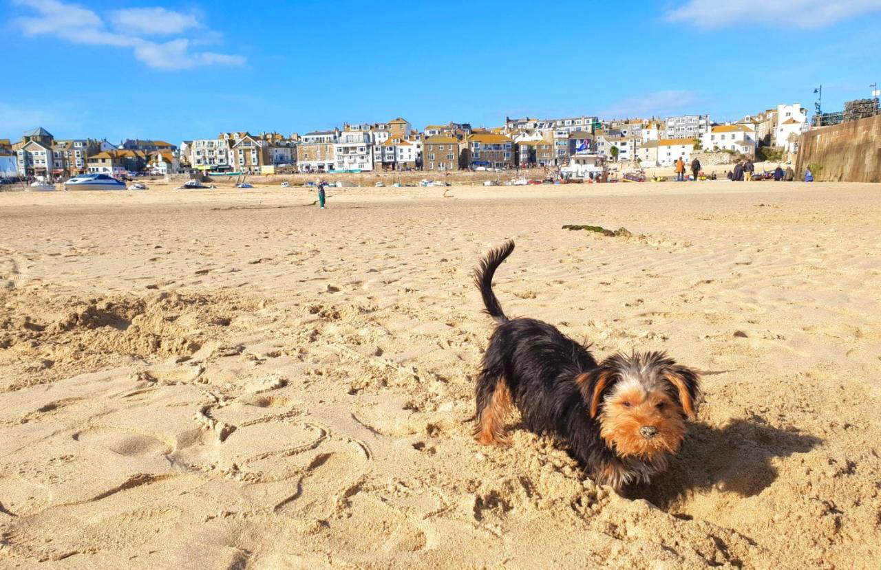 Idyllic Cornish Cottage, Superking Bed, Private Garden Dogs Welcome Truro Extérieur photo