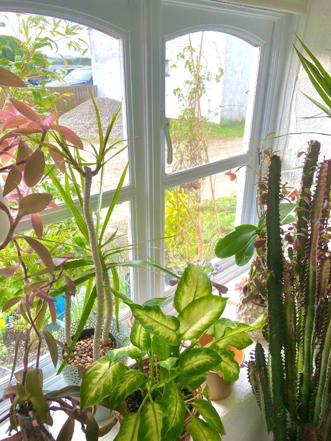 Idyllic Cornish Cottage, Superking Bed, Private Garden Dogs Welcome Truro Extérieur photo